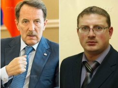 Антон Шевелев сидит, а дело его в Воронеже живёт