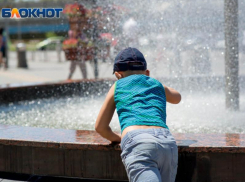 Синоптики рассказали, когда отступит сумасшедшая жара в Воронеже