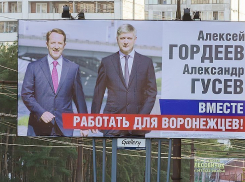 Муниципальный гламур: мэрия Воронежа закупает 2800 фоторамок с отделкой «под  золото»