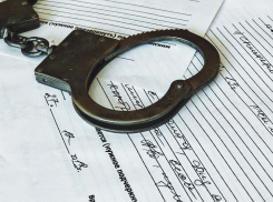 Судья воронежского арбитража Светлана Мальцева попадет под уголовное дело о взятке