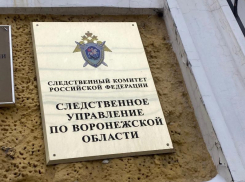 Мать зарезала дочь и задушила сына в Воронеже 