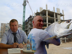 ТОП-3 воронежских уголовных дел, где журналисты опередили следствие