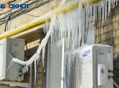 Морозное господство на пять дней накроет Воронежскую область