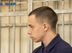 Виновник резонансного ДТП с гибелью студента на эстакаде в Воронеже просит об УДО  