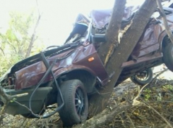 В Воронежской области «девятка» вылетела с дороги в дерево