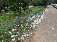 Дождь из чеков Fix Price прошел над воронежской улицей