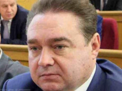 Сергей Журавлев (ЛДПР) может быть использован воронежской «Единой Россией»