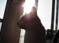  Какая погода ждёт воронежцев в последний день марта