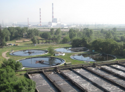 Стало известно, когда будет меньше вонять на левом берегу Воронежа