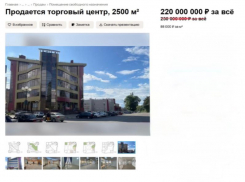 Неликвидный ТЦ в воронежской Анне подешевел на 30 млн рублей