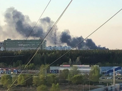 Черный столб дыма со свалки перепугал воронежцев