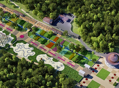 Бюджет Воронежа будет скорректирован в связи с реконструкцией парка «Динамо»