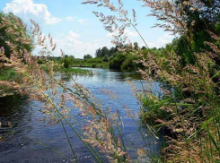 Вчера начались работы по расчистке русла Усманки