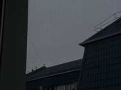 Кому из воронежцев повезёт с деньгами, а кого ждёт неожиданный поворот судьбы