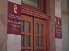 Воронежские депутаты раскритиковали платные парковки 
