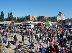 За реконструкцией Птичьего рынка рассмотрели Владимира Нетесова 