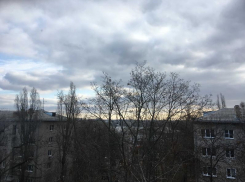 Желтый уровень опасности объявили в Воронежской области из-за погоды
