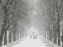 Теплые и снежные выходные ожидают воронежцев