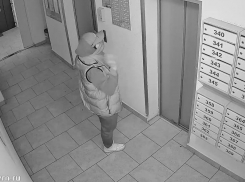 Странные взаимоотношения с видеокамерой возмутили воронежцев