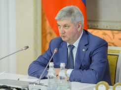 Губернатор Гусев жёстко спросит о состоянии поля на стадионе воронежского «Факела»