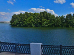 Обелиск государю Петру I появится на острове Воронежского водохранилища