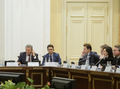 Воронежский сенатор обозначил роль межпарламентского взаимодействия в сотрудничестве России и Японии