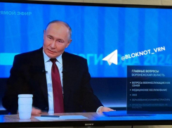 Стали известны главные темы вопросов Путину от воронежцев