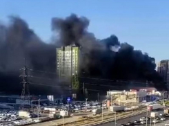 Причину возникновения огромного столба чёрного дыма на окружной трассе Воронежа назвали в МЧС