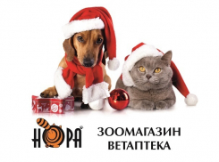 Новогодние подарки для ваших питомцев в сети зоомагазинов «НОРА»