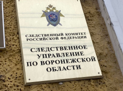 Пенсионера с простреленной головой нашли в Воронежской области 