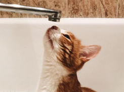  Где отключат горячую воду с 30 мая по 5 июня в Воронеже 