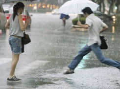 В Воронеже в начале недели будет дождливо