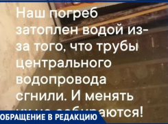 «Купили на зиму овощи, все вытащили»: погреб превращается в колодец в Воронеже 