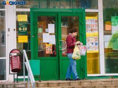 Сметану с антибиотиками от воронежского производителя нашли в Белгородской области