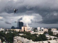 На 1 сентября Воронеж зальет дождями
