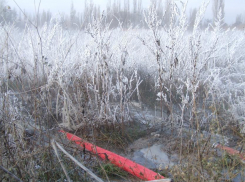 Воронежский «ЭкоЛайнер» сливает стоки производства прямо на землю соседнего предприятия