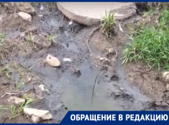 Канализационные изливы Шредингера снимает воронежец два месяца подряд