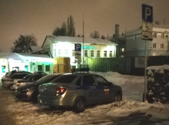 Полицейские отобрали у инвалида место на стоянке в Воронеже 