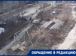 Воронежцы рассказали об агрессивной своре, загрызающей котов