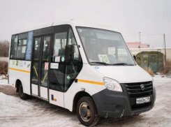 Новую экипировку воронежских маршруток представили на фото 