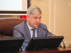 В Воронеже к уборке снега будут привлекать коммерческие организации