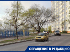 Дайте ходу пешеходу: воронежцы просят внедрить переходник через оживленную дорогу 