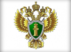 Социальные права детей-инвалидов