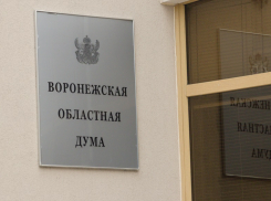 Озвучены первые данные о явке на выборах в Воронежской области