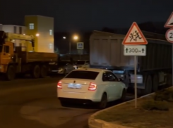 О нашествии фур во дворе сообщили воронежцы 