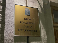 Мэрия Воронежа рассказала об очередной атаке «информационных террористов»