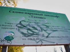 Последние годы «Танаис» умирал:  как изменится любимый воронежцами парк