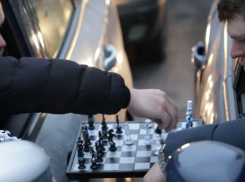 Жуткие воронежские пробки высмеяли в юмористическом ролике 