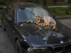 С 10 этажа воронежской многоэтажки дети сбросили на автомобиль пакет с картошкой