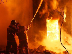 Семья из пяти человек с маленькими детьми погибла на пожаре под Воронежем